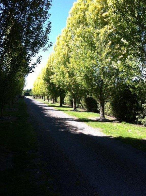 The Meadows Villa Christchurch Exterior photo